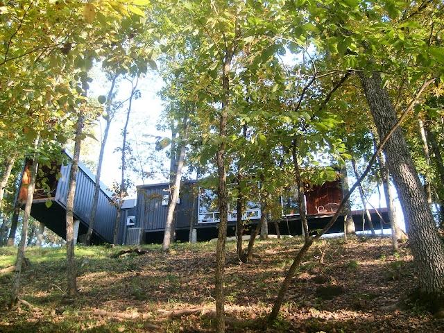 Shipping Container House: A Springfield Marvel - Featured Image