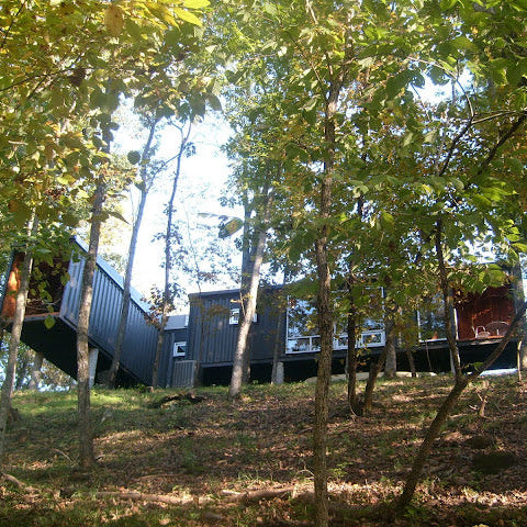 Container home nestled among trees in a forest setting