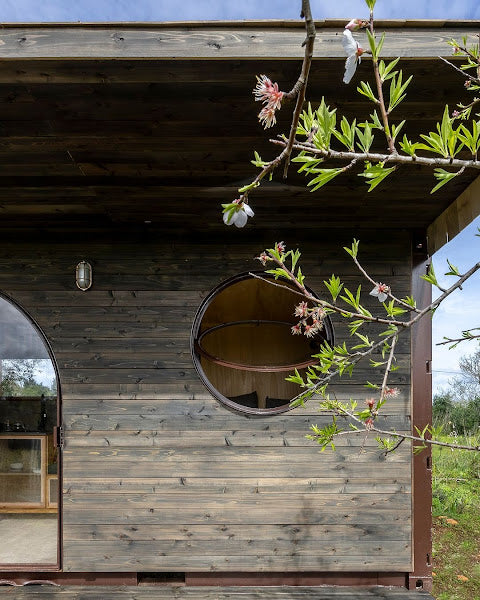 Cargo – Tiny Home Made of a 20 ft Shipping Container, Algarve, Portugal