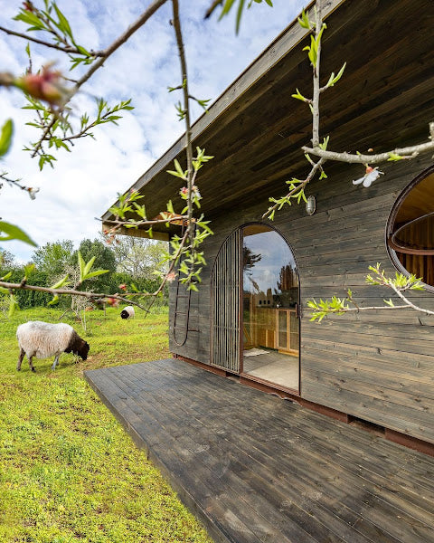 Cargo – Tiny Home Made of a 20 ft Shipping Container, Algarve, Portugal