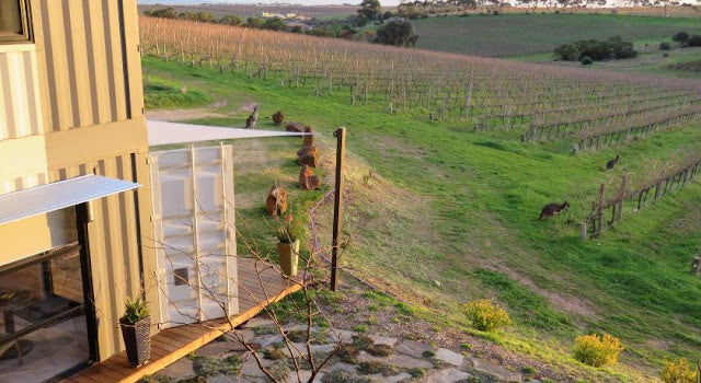 Balcony with a view of a vineyard and grazing animals