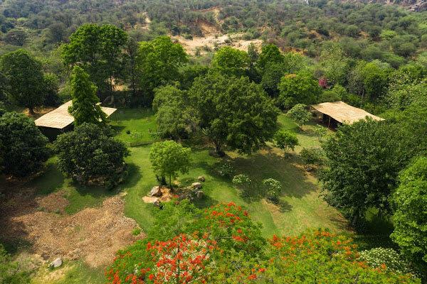 Shipping Container Home with Woven Bamboo Roof and Personal Gym, Aravali Hills, India