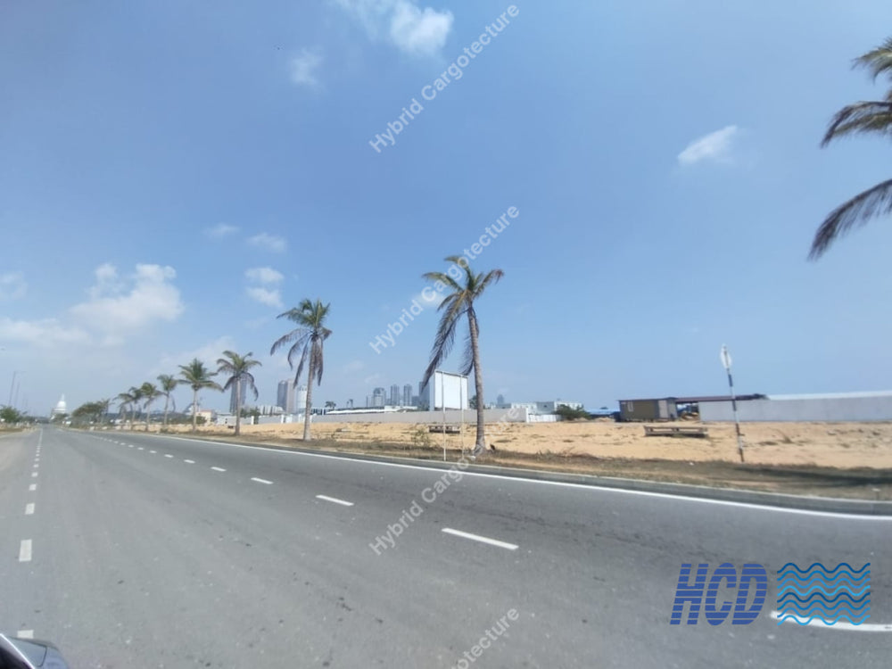 Road with palm trees and a clear blue sky