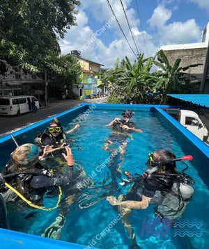 Shipping Container Swimming Pools Made By Hcd Hybrid