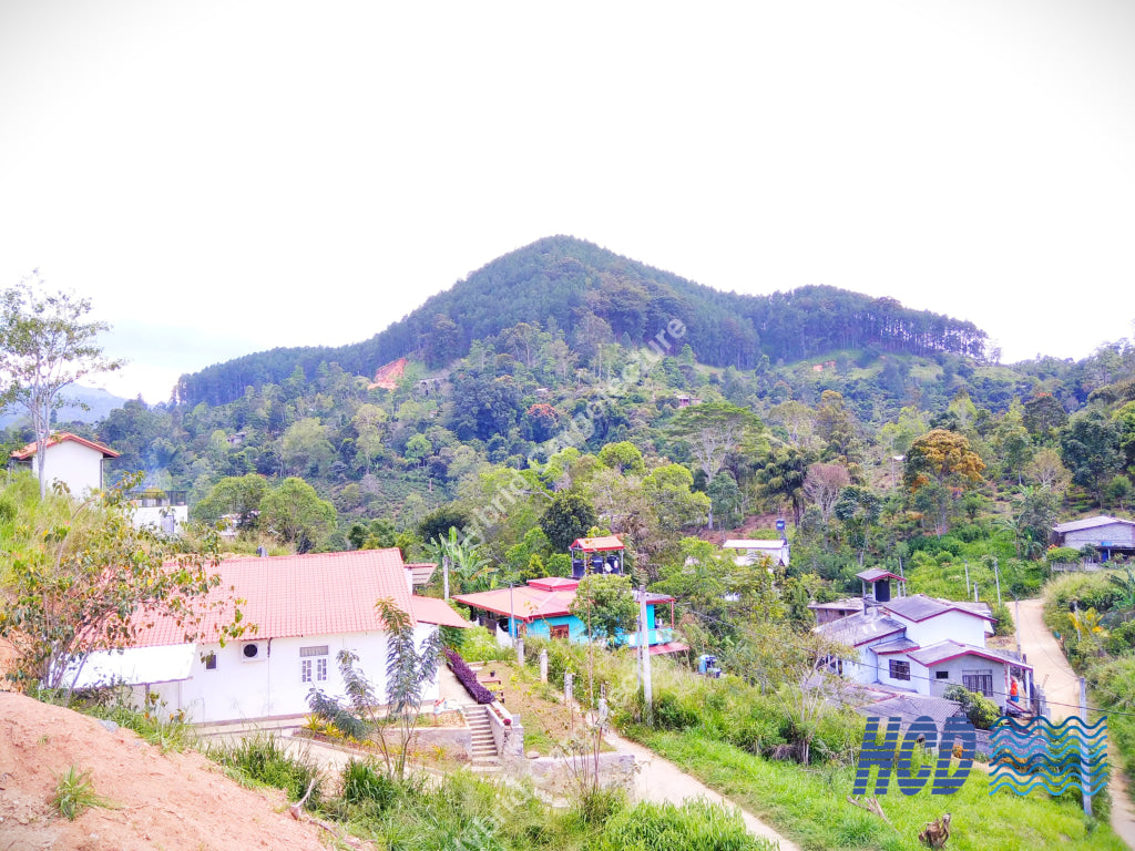 Hybrid Steel Building > Bag Packer Hotel In Ella